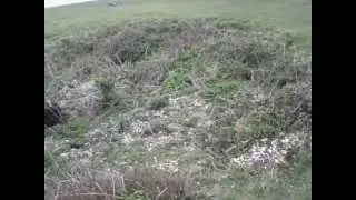 Neolithic burial enclosure,isle of wight.