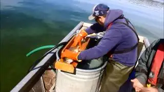 DNR fish survey on Chain O' Lakes