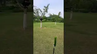 Flying Cards Stunts, Real Real Kung Fu #FlyingCards 1736206474402