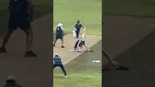 WATCH: Alex Carey practises trademark reverse sweeps... while helping with fielding training