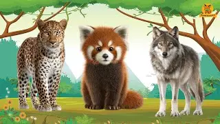 Playful Animals: Cheetah, Red panda, Wolf, Zebra, Yak, Woodpecker &ndash; Animal Sounds