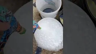 Foamy foamy time #allclean #detailing #carwashtips #satisfying #howtocleanyourcar #carcleaning #car