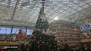 STARFIELD LIBRARY X-MAS !! 별마당도서관 Vog