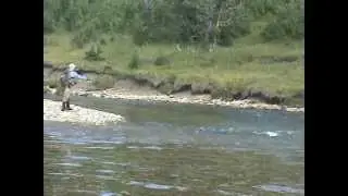 Belly River, Glacier National Park, Montana