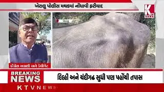 ખેરાલુ તાલુકાના દેલવાડા ગામે પાંચ ભેંસો ચોરાઈ; #kheralu