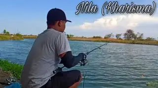 MANCING NILA DI TAMBAK || SPOT TAMBAK JAYA FISHING SIDOARJO