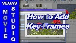 How to Animate a Video with Key-Frames using Sony Vegas Movie Studio