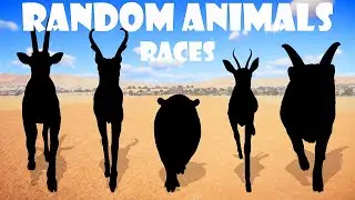 Random Animals Speed Races in Planet Zoo included Antelope, Hippo, Springbok, Sheep