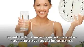 Forskolin - How Forskolin Supplement Can help You Lose Weight