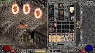 Project Diablo 2 Fury Druid Build/Showcase