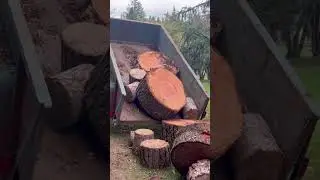 Unloading logs part 3. After breaking the log jam.