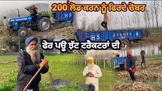 200 ਲੋਡ ਕਰਨ ਨੂੰ ਫਿਰਦੇ , ਟਰੈਕਟਰਾ ਦੀ ਜੋਰ ਅਜਮਾਇਸ਼ ਫੇਰ ਹੋਓ #farming #sugarcanefarming #pammabai 
