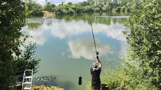 Compétition pêche de la carpe à L'OASIS ( cinquième concours, Toujours pas de Podium ?)