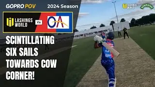 Scintillating Six Soars Over Cow Corner! - Lashings vs Old Albanians 2024