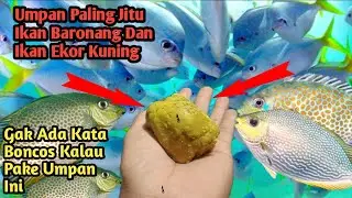 Рыболовные приманки Baronang Fish и Delah