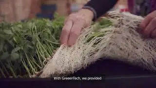 Vertical farming solutions of GreeenTech