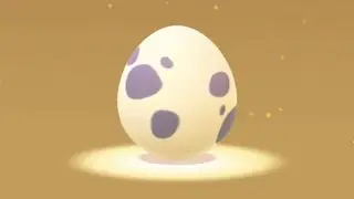 WOW! 5 x 10km Eggs Hatching Spree! All Good Hatches!