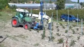 Fendt 211 P  Vario