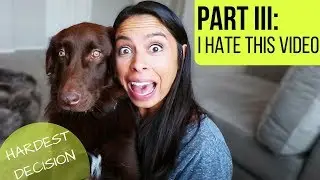 How To KEEP Your Dog | 5 Tips to Avoid ReHoming Your Dog 🐶