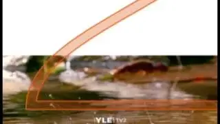 tv2 finland brand animation