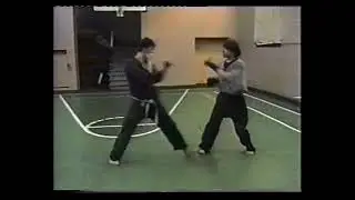 Школа Чой #76