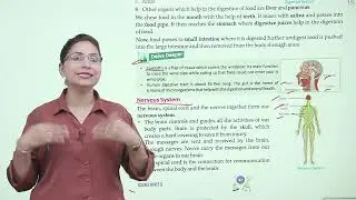 Ch 4 | Good Grade Books  | Science | Class 3 | Human Body : Organ System | For Children