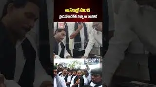 YSRCP Members Walk Out From AP Assembly | #ysjagan | #appolitics | #politicalnews | #shorts | TSNews