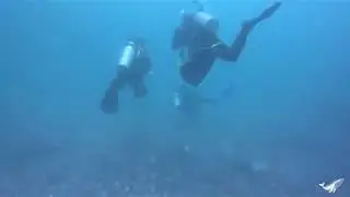 Dive with the strong current in Bali Indonesia