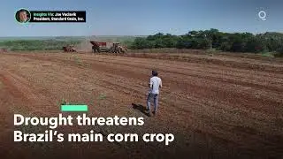Drought Threatens Brazil&rsquo;s Major Corn Crop