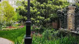 1 Hour Birds Sounds in the City Park - Background Sound Birds Chirping for Working or Relaxation