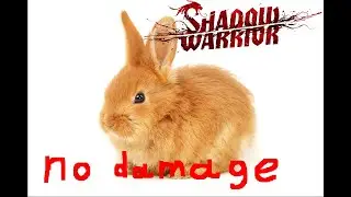 SHADOW WARRIOR RABBIT BOSSFIGHT NO DAMAGE INSANE DIFFICULTY