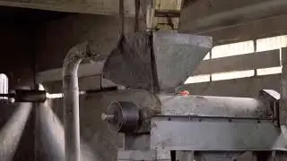 Wet Hulled or Semi Washed Process
