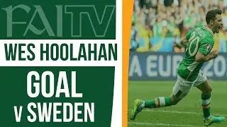 Wes Hoolahan Goal v Sweden
