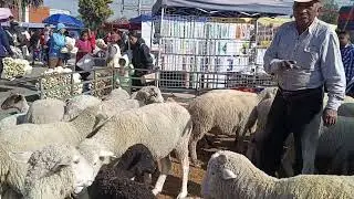 Livestock market, State of Mexico
