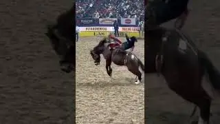 91 Points on 2708 Night Crawler of Pickett Pro Rodeo at 2024 National Finals Rodeo  #NFR #PRCA