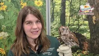 Meet The New Raptor Ambassadors in Minnesota