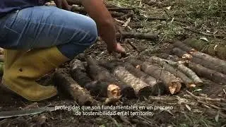 La experiencia del Programa Bosques Andinos en Pichincha, Ecuador