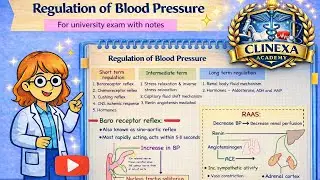 Regulation of Blood pressure|CVS Physiology|1st yr mbbs physiology