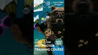 Apply today for The Deep Dive Instructor Training Course!