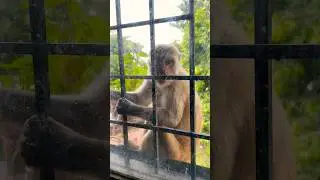 😱⁉️❌❌🥹Looking in my kitchen room from kitchen window || #nature