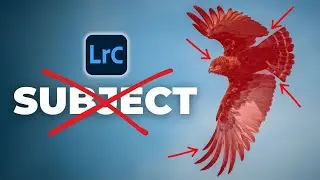 Маски объектов в Lightroom не работают (вот почему)