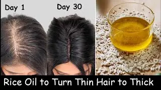 DIY Rice Hair Oil | Turn Thin Hair to Thick Hair - Double Hair Growth & Long Hair with Rice Water
