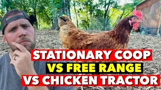 I&rsquo;VE TRIED ALL STYLES OF CHICKEN COOPS! WHAT&rsquo;S BEST?!