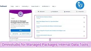 🔥 Omnistudio for Managed Packages Internal Data Tools | Salesforce Trailhead Quiz Solution 2025