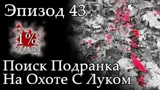 1% УДАЧИ. Эпизод 043: Поиск подранка на охоте с луком