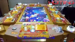 fishing game machine - 2017 newest IGS Thunder Dragon fish game table gambling (hui@hominggame.com)