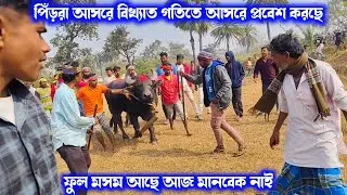 পিঁড়রা আসরে ১ নং কাড়ার জোড়া বিখ্যাত গতিতে আসরে প্রবেশ করছে