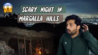 Ночь в джунглях Маргалла Хиллз😱 | леопард 🐆 aa gya |skpboy