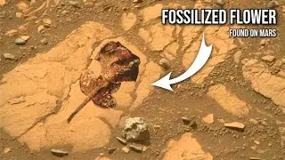 NASA's Mars Curiosity Rover acquired this new image on Red Planet surface on sol 3415: Perseverance