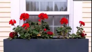 Cute DIY Window Box Planters